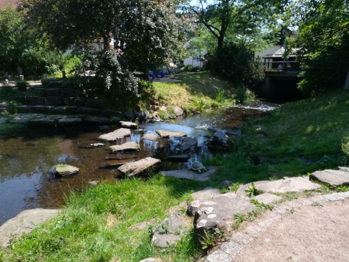 Am Sommerberg Unterkirnach Extérieur photo